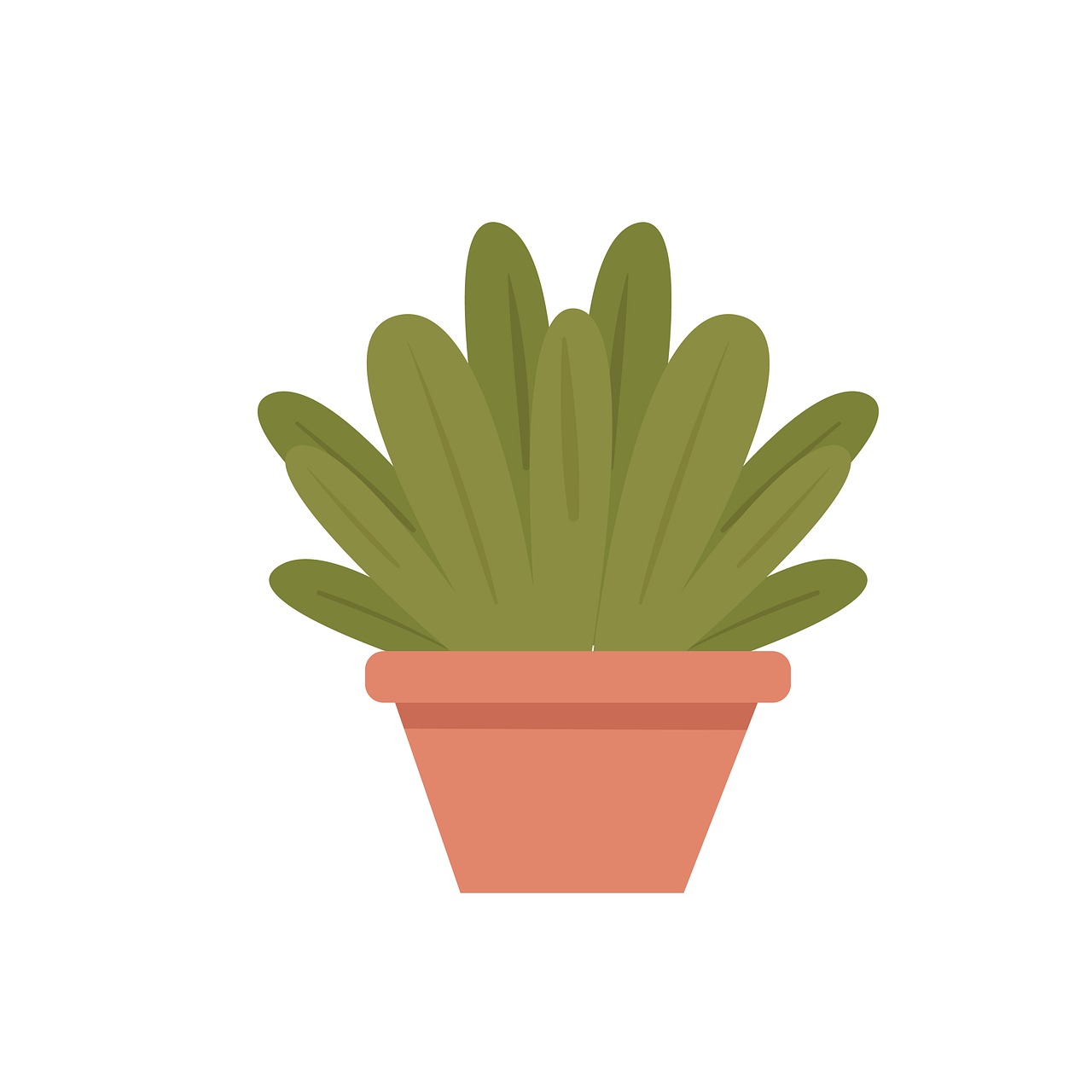 plant potted trees clipart free photo