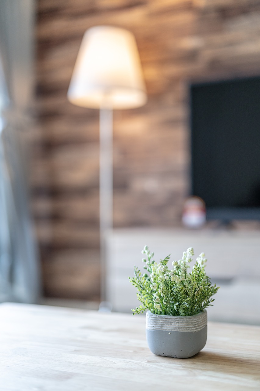 plant  indoor  table free photo