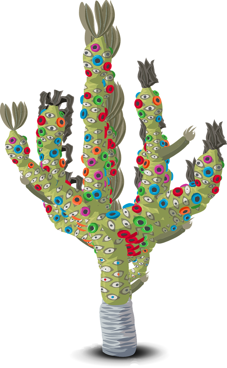 plant cactus colorful free photo