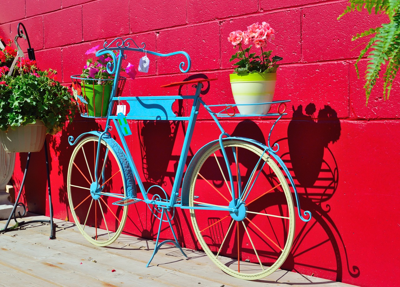 plant holder bicycle flowers free photo