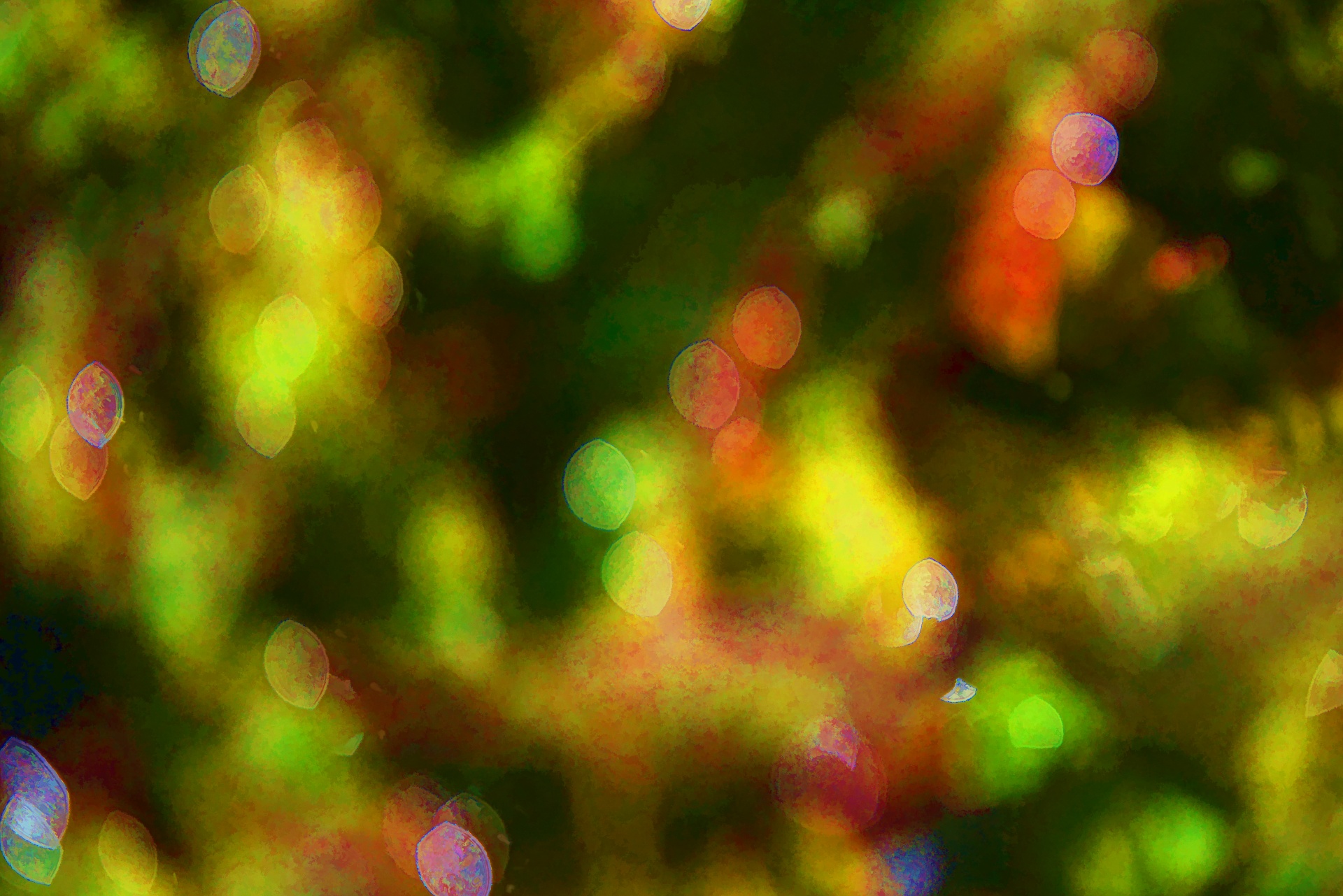 background abstract bokeh free photo