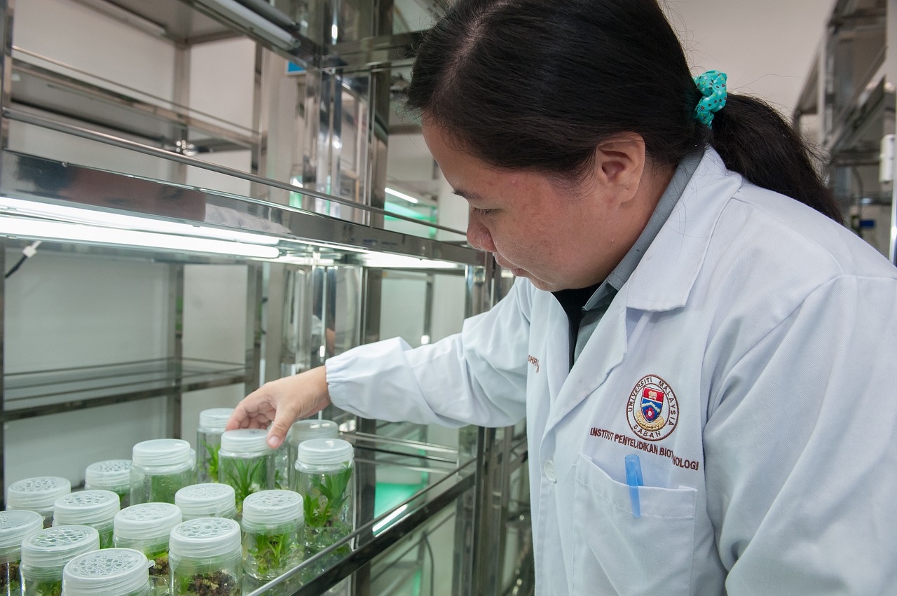 plant tissue culture facility biotechnology research institute universiti malaysia sabah free photo