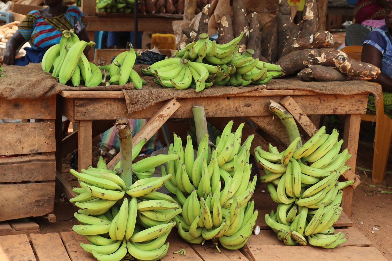 plantain africa banana free photo