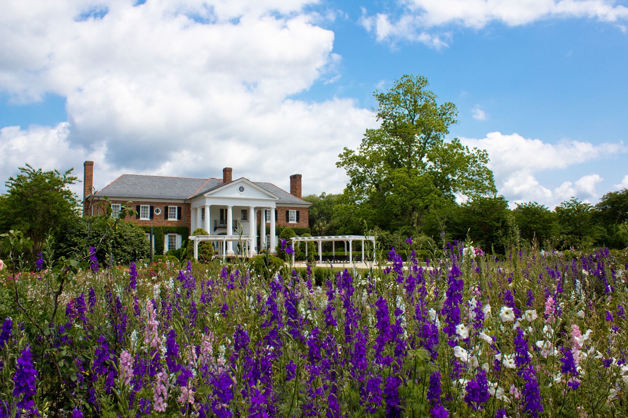 plantation flowers wildflowers free photo