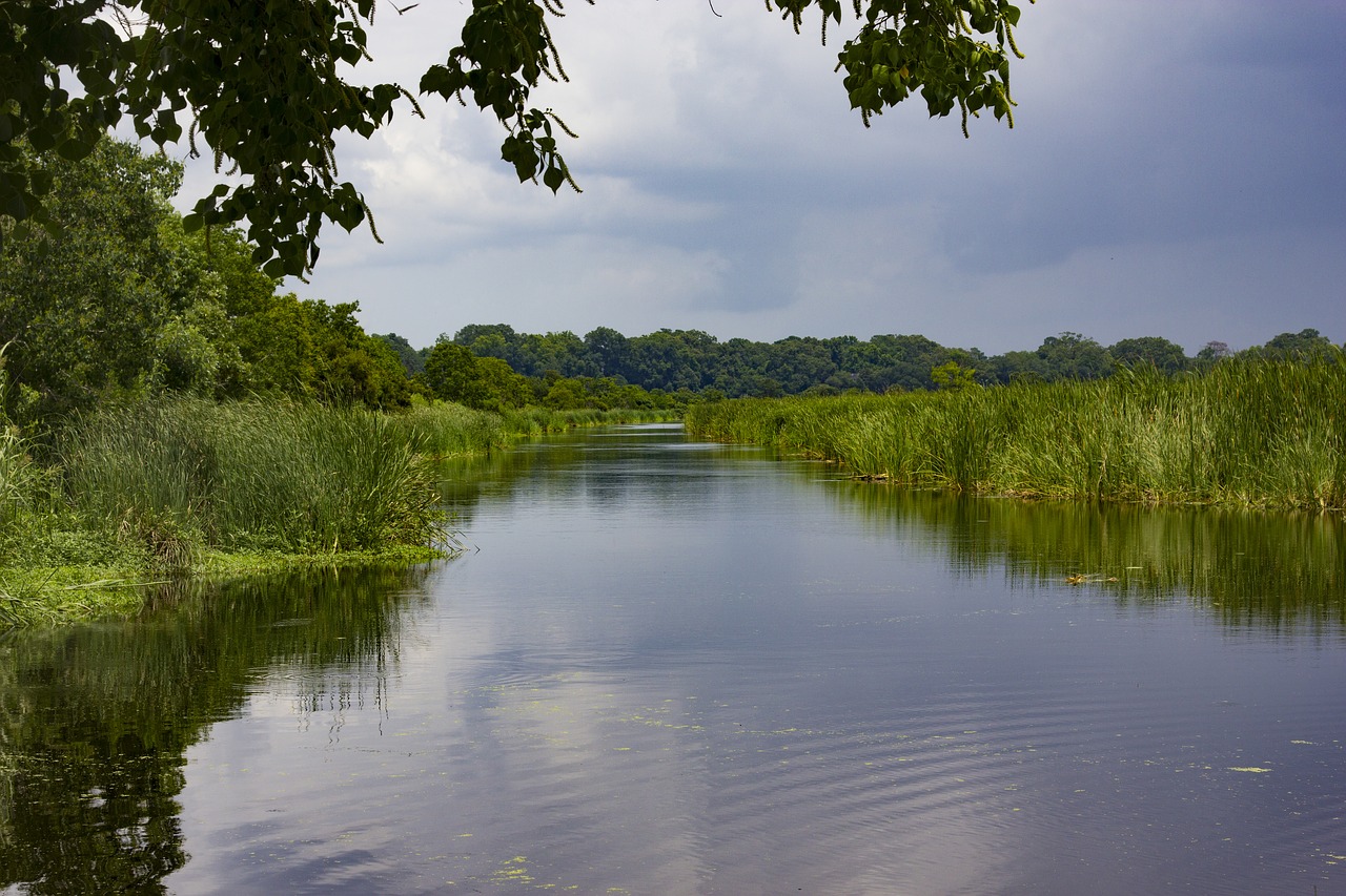 plantation charleston south carolina water free photo