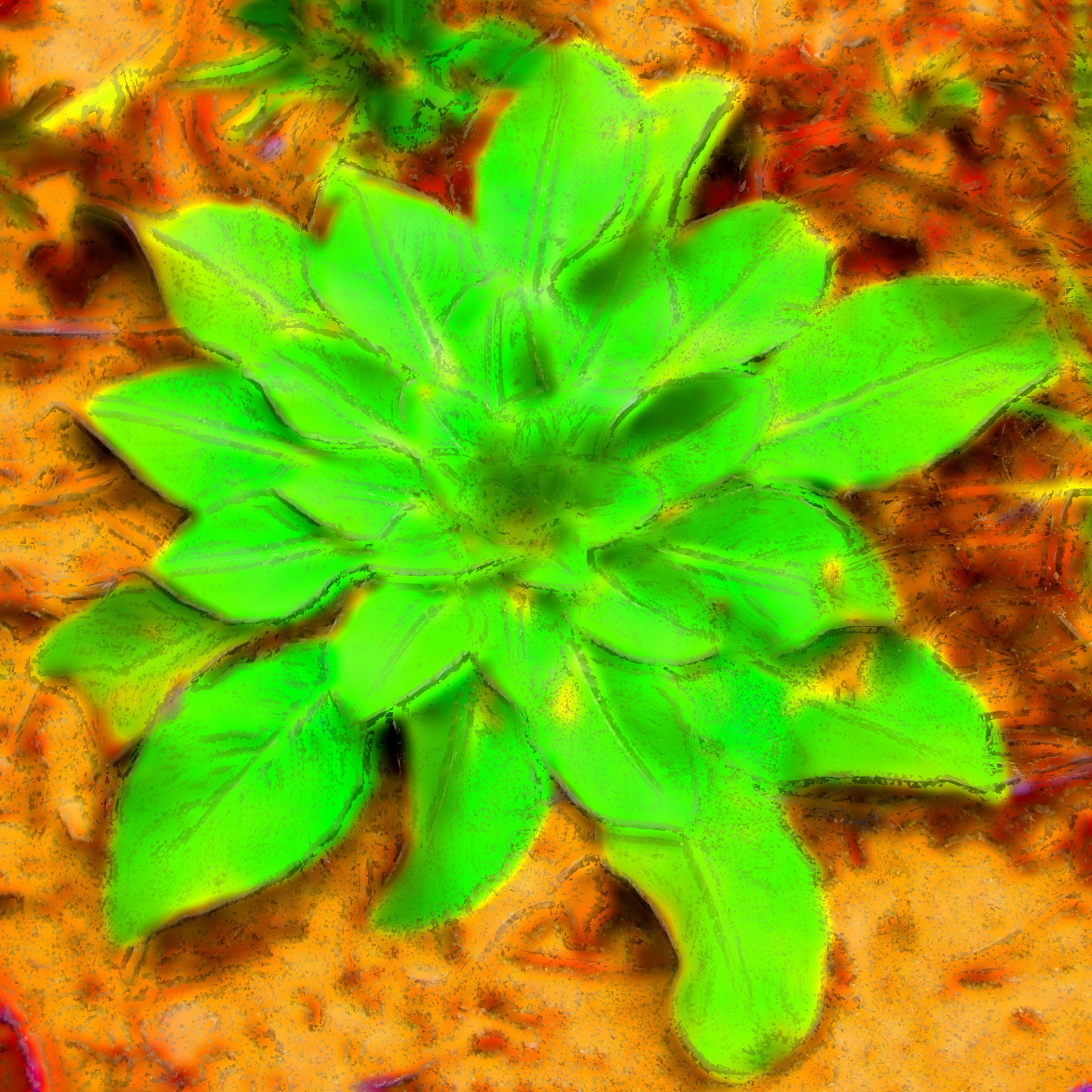 plant design plant stylized # 3 free photo