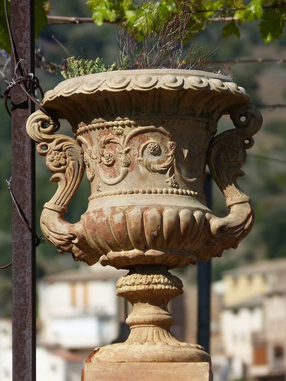 planter vase terracotta free photo