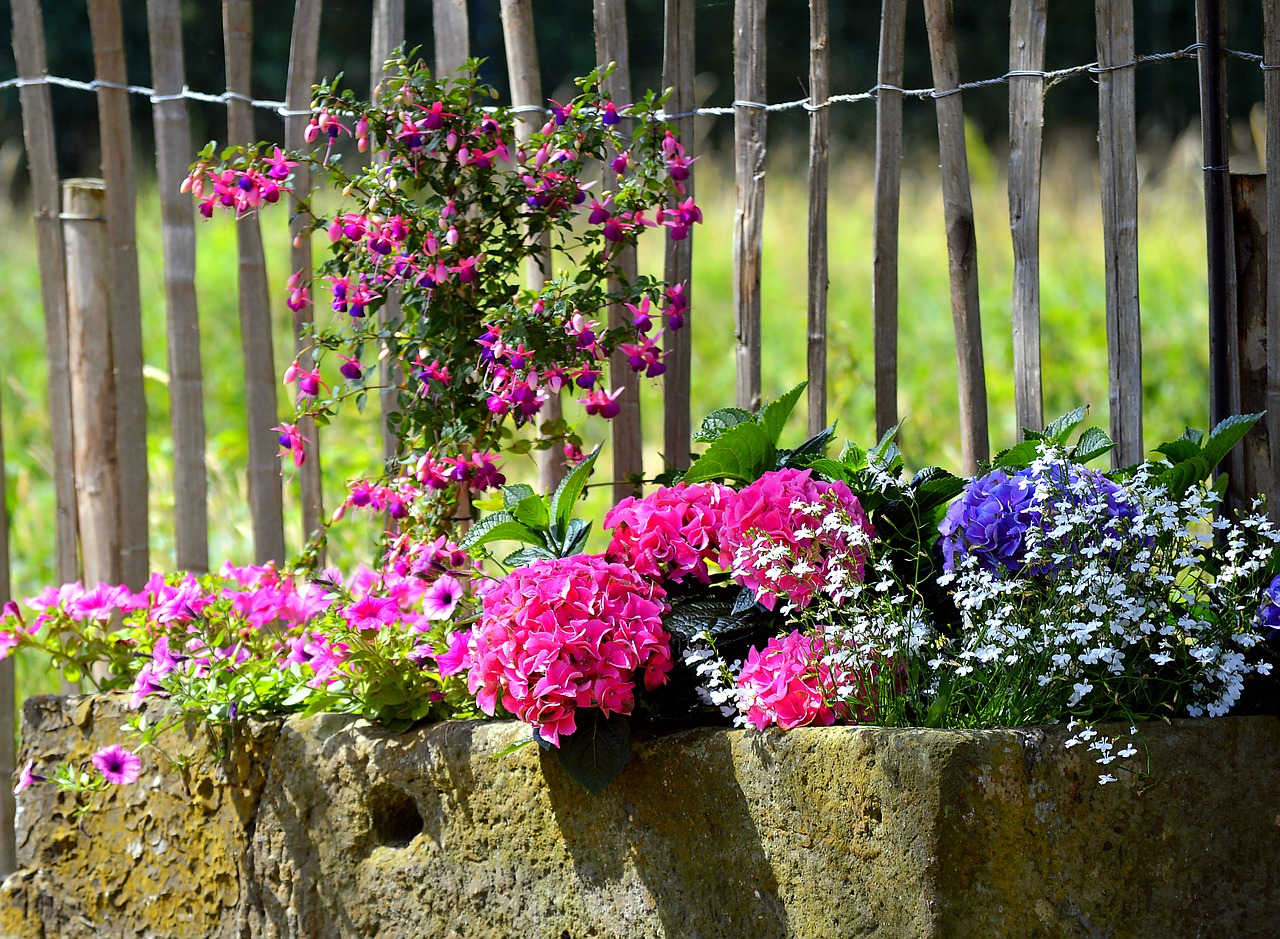 planters colorful summer free photo