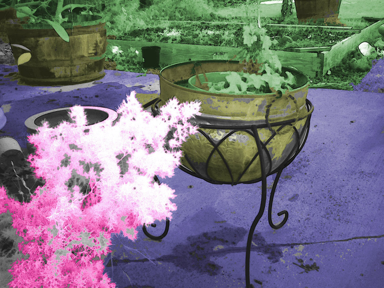 planters infrared colorized free photo