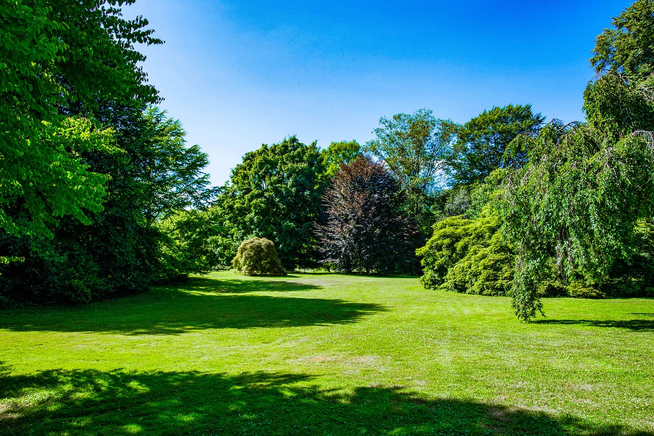 planting fields  nature  trees free photo