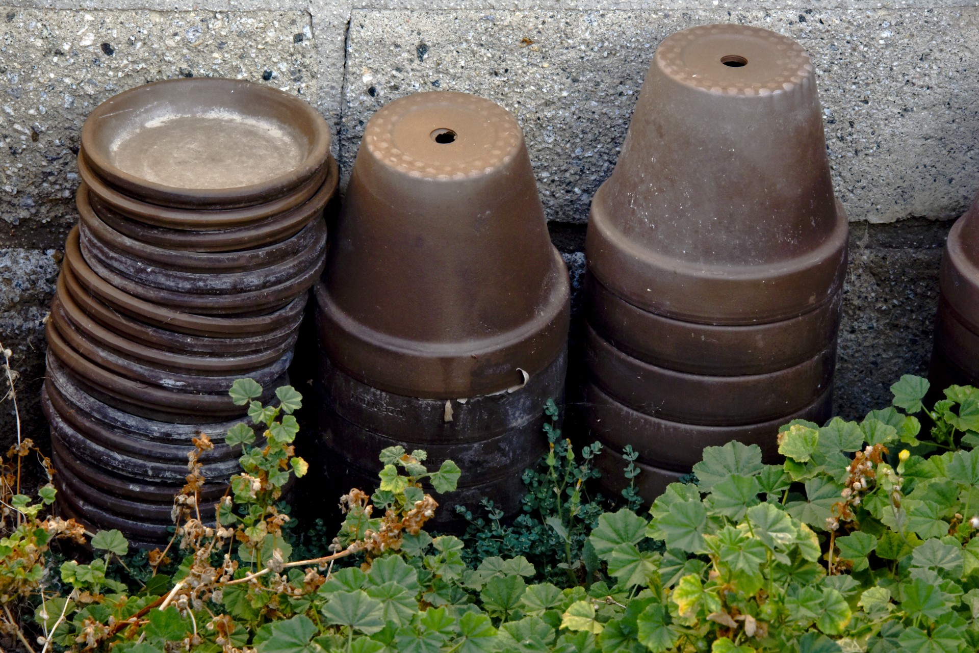 pots wall cement free photo