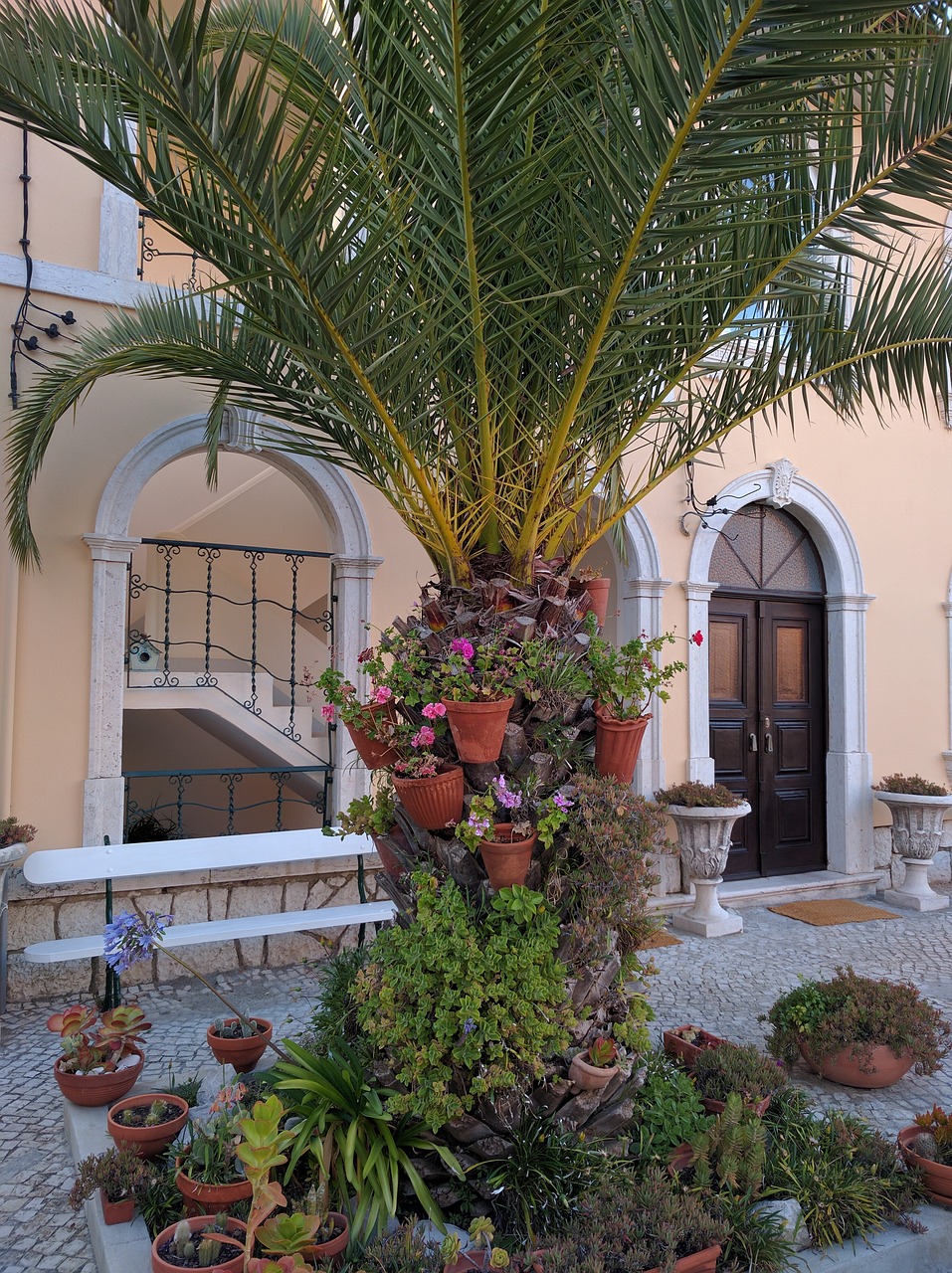 plants decoration house free photo