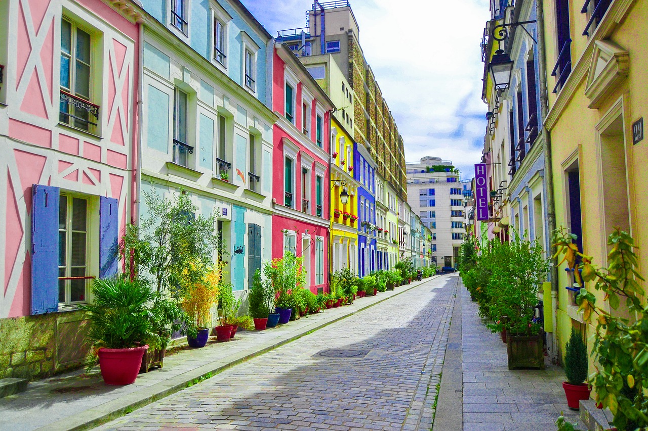 plants allee paris free photo