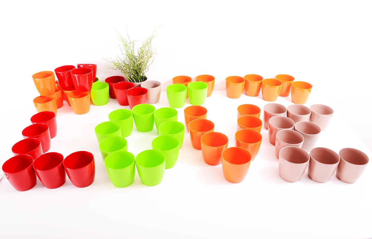 plants flowerpots color free photo