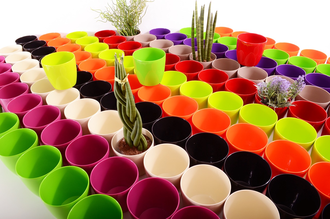 plants flowerpots color free photo