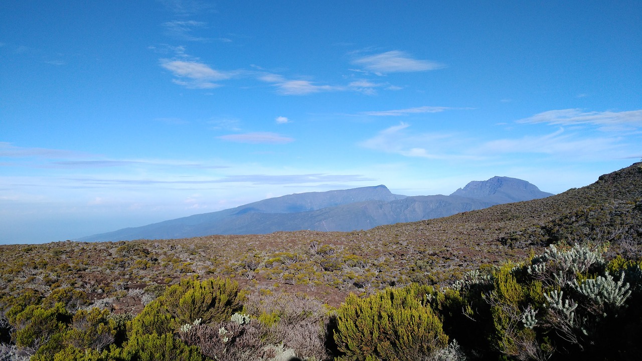 plants  landscape  mountain free photo