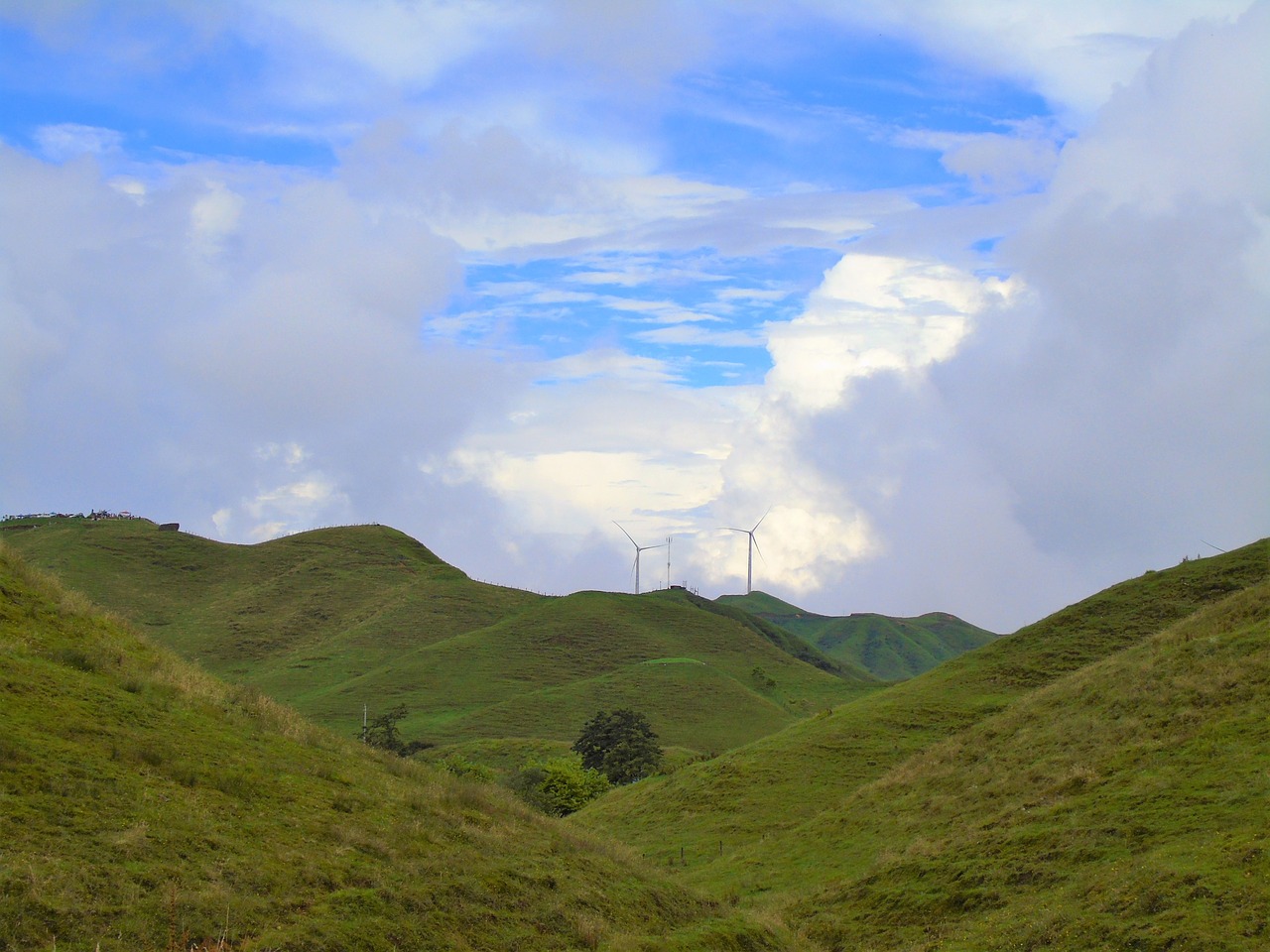 plants  highlands  grass free photo