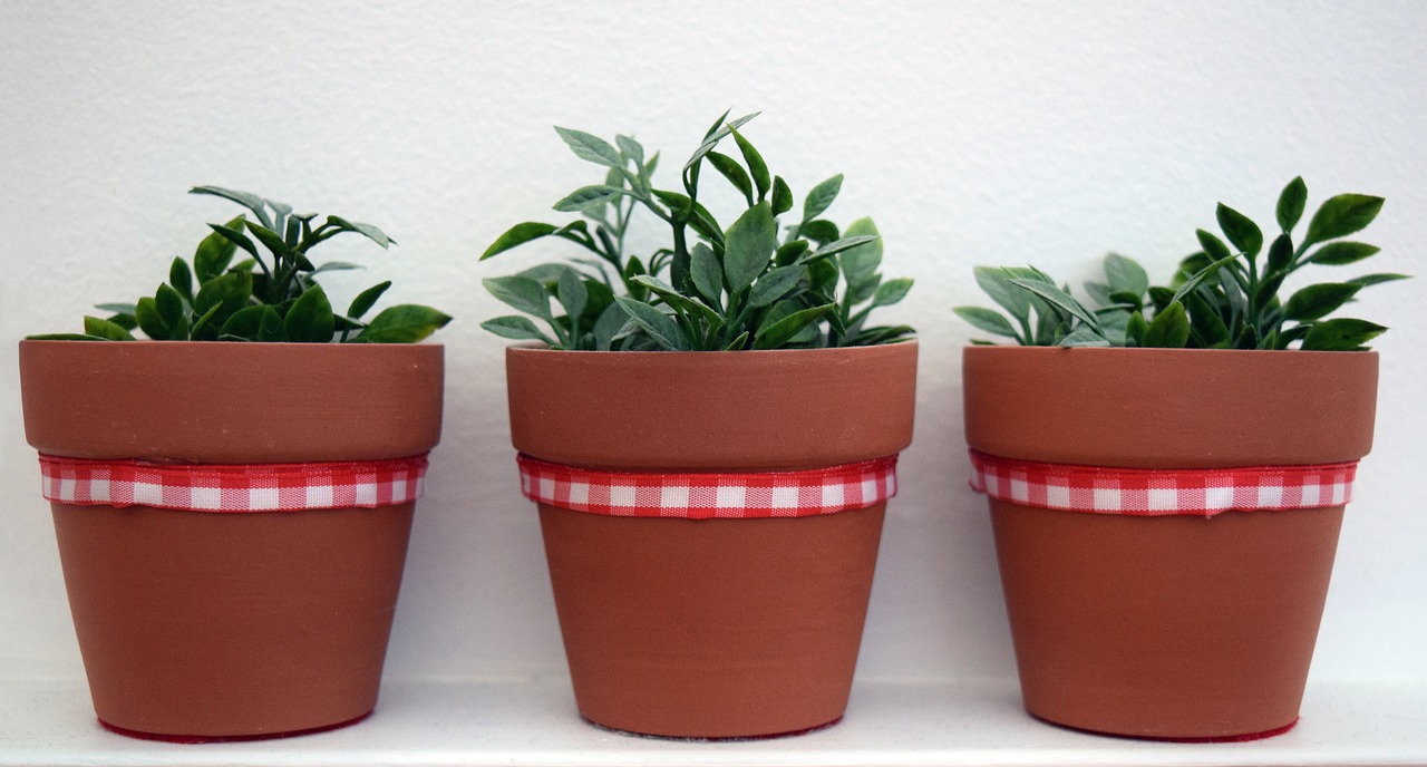 plants synthetic stoneware red ribbon free photo