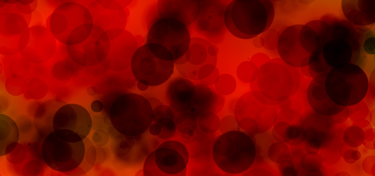 plasma blood blood cells free photo