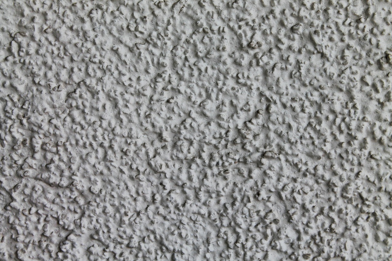 plaster structure polystyrene free photo