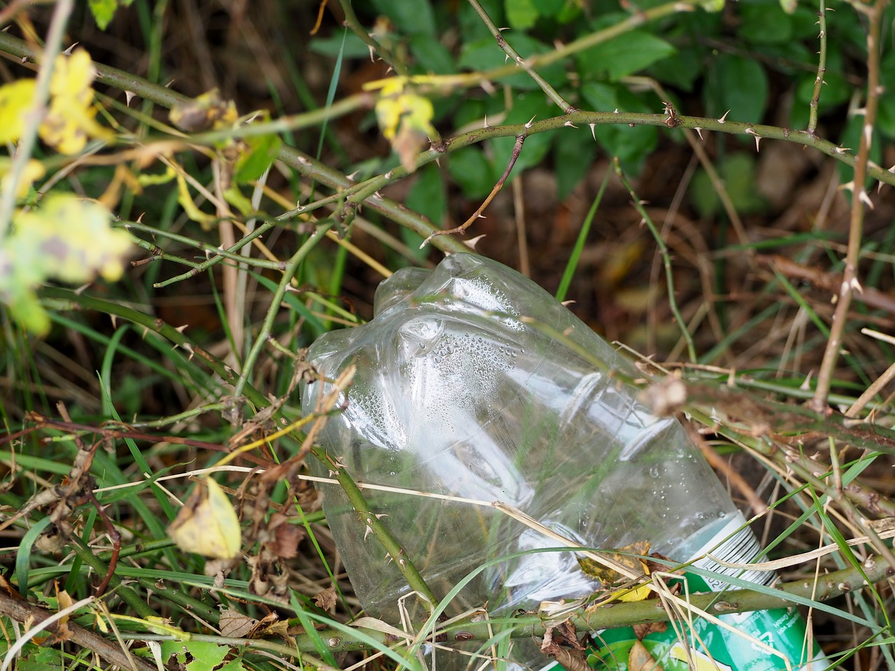 plastic bottle pollution nature free photo