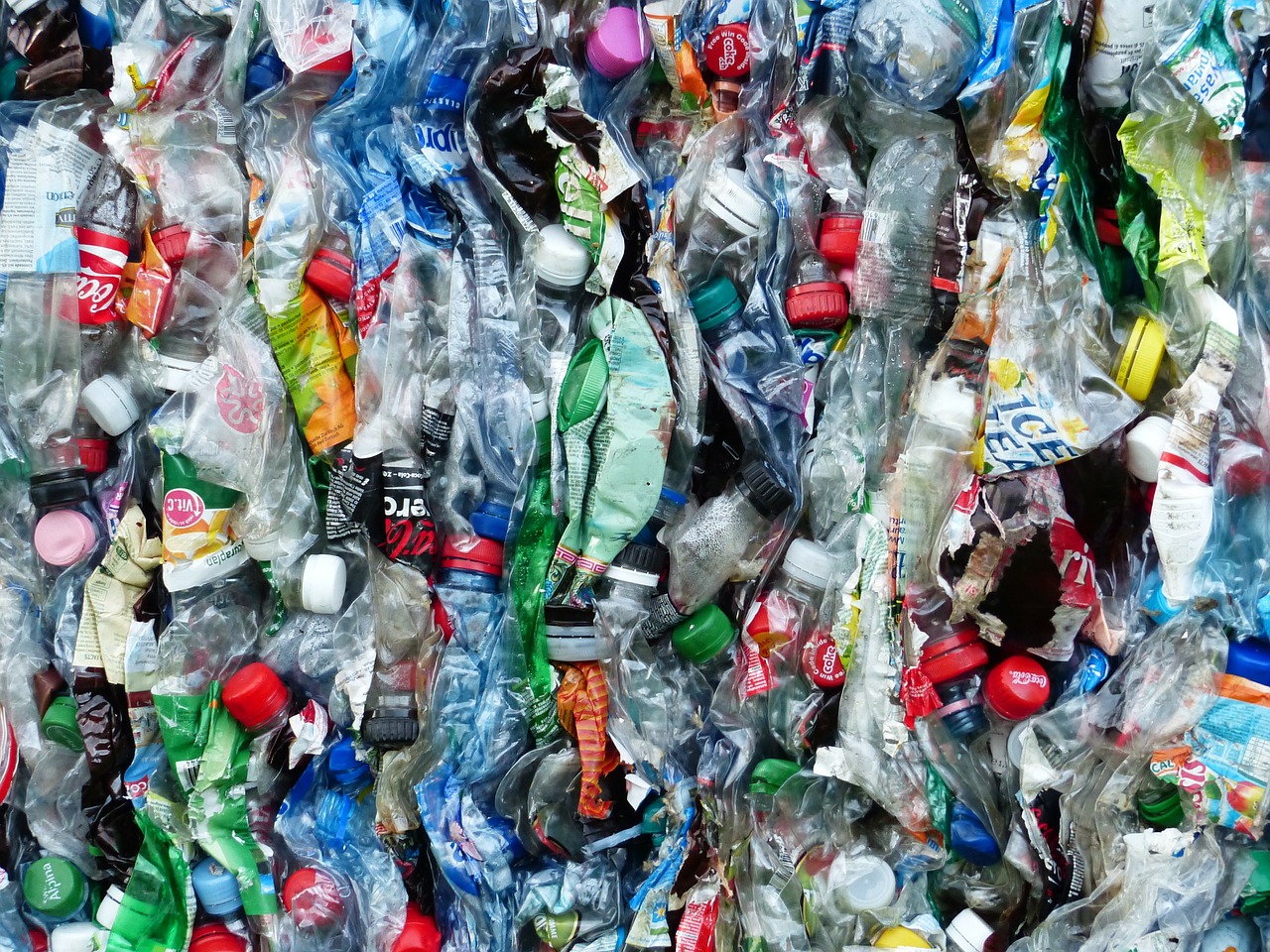plastic bottles bottles recycling free photo