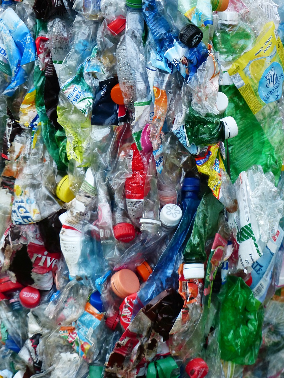 plastic bottles bottles recycling free photo