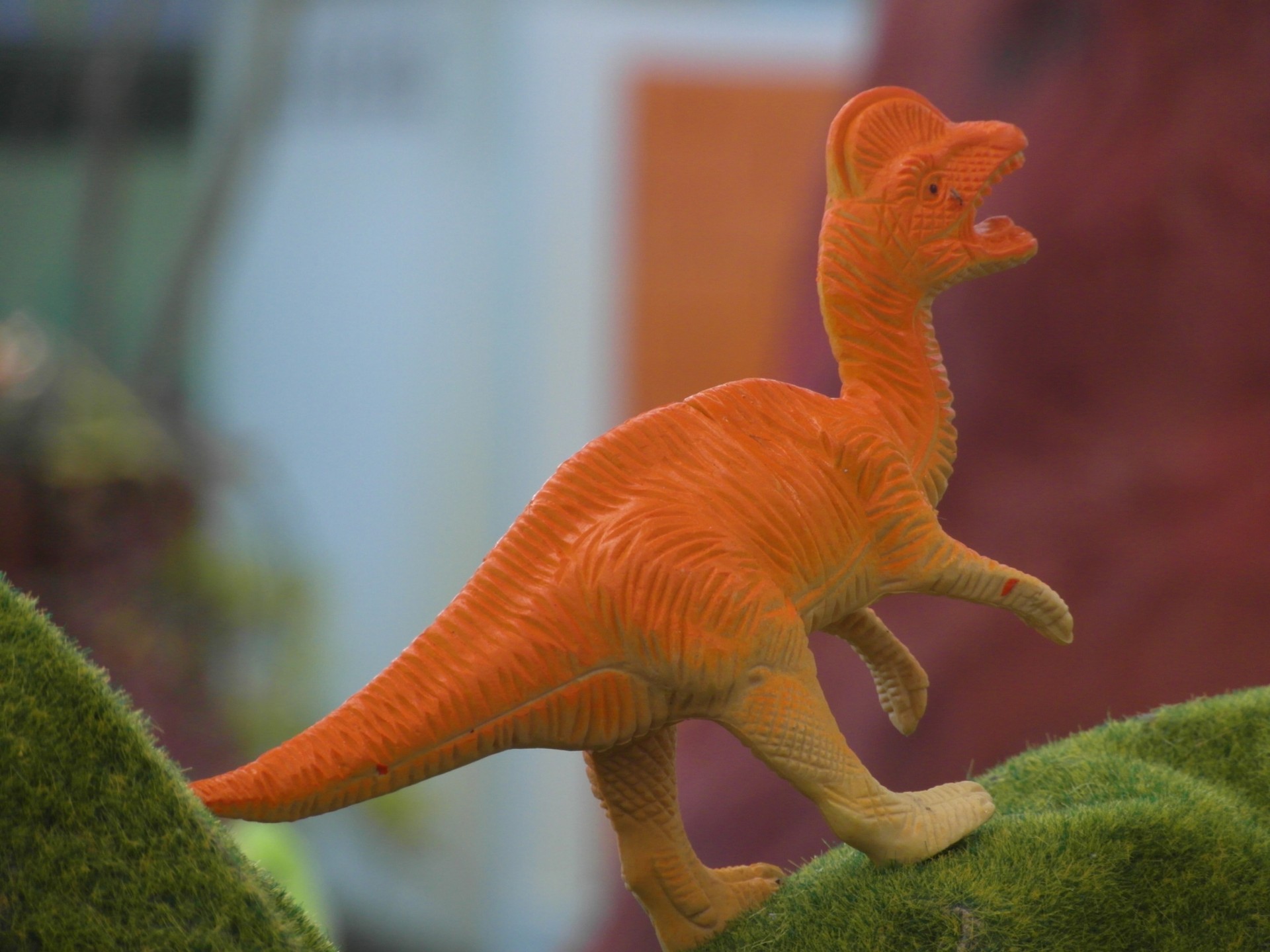 plastic dinosaur toy free photo