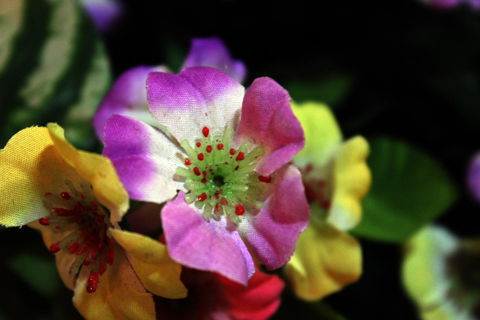 plastic flowers flowers petals free photo