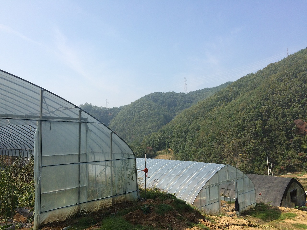 plastic greenhouse country autumn sky free photo