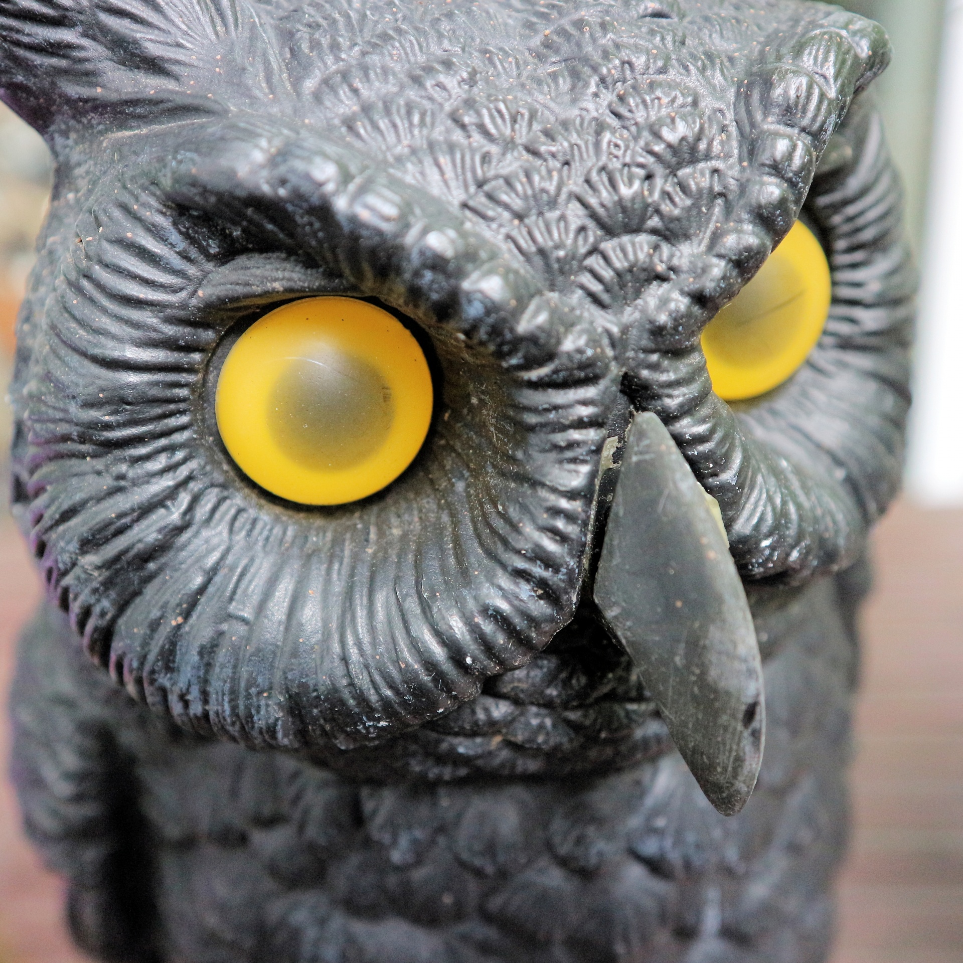 plastic owl closeup free photo