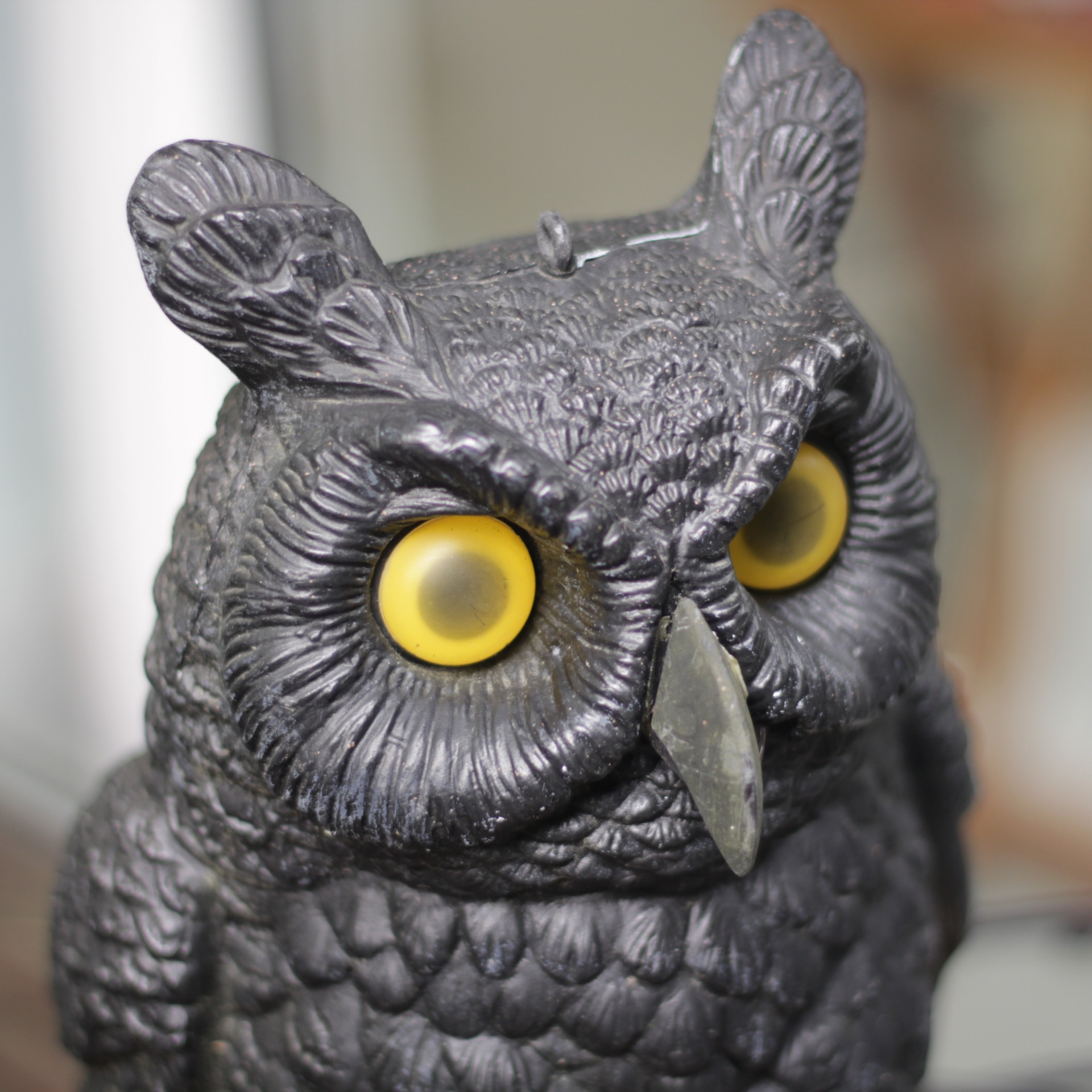 plastic owl closeup free photo