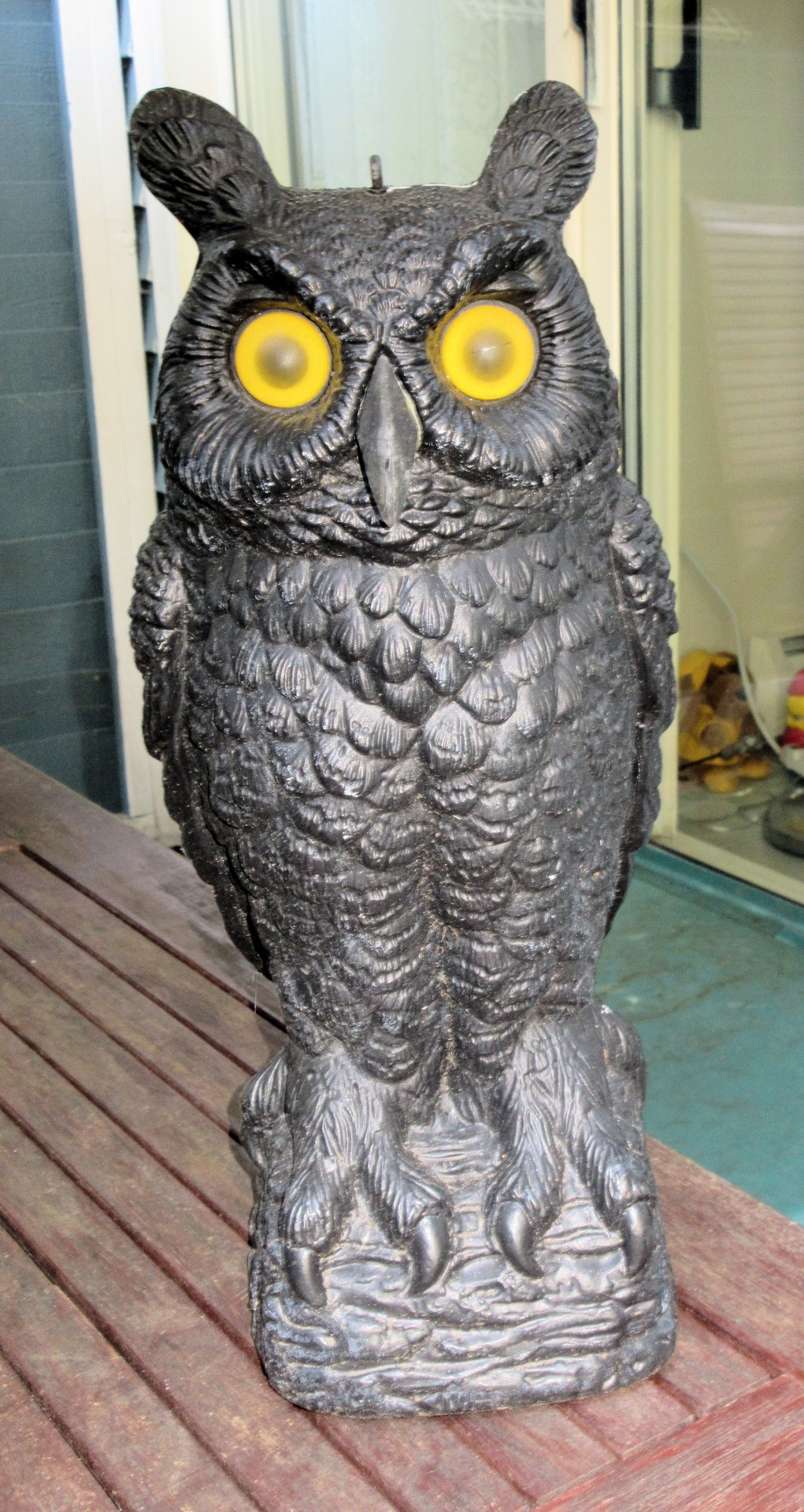 plastic owl black free photo