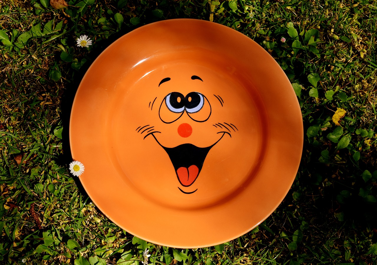 plate tableware smiley free photo