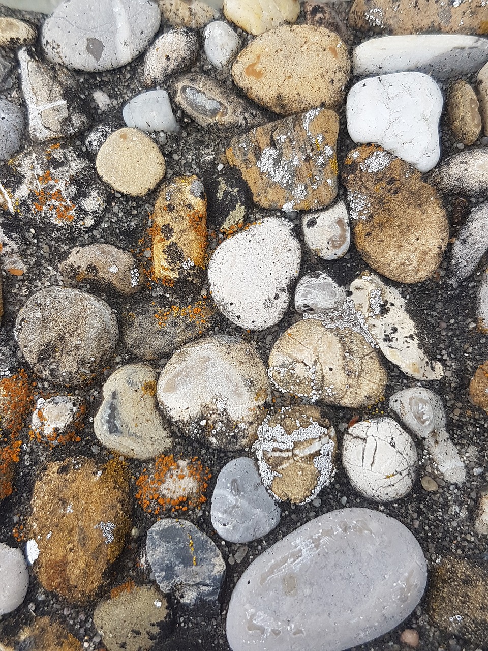 plate stones pebble free photo