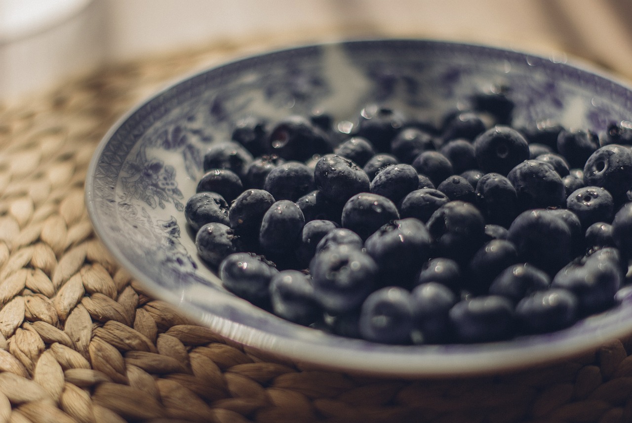 plate blueberries food free photo