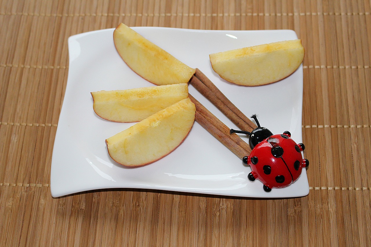 plate decoration apple slices cinnamon free photo