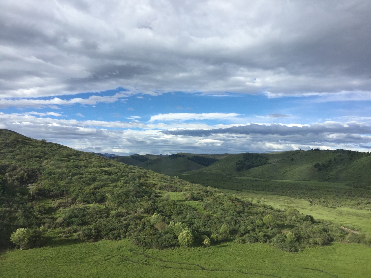 plateau sea of flowers western sichuan free photo