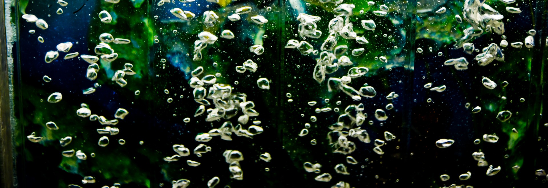 bubbles flat blue free photo