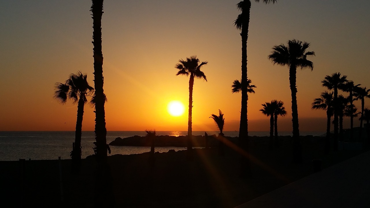 platja in the district of barceloneta barcelona free photo