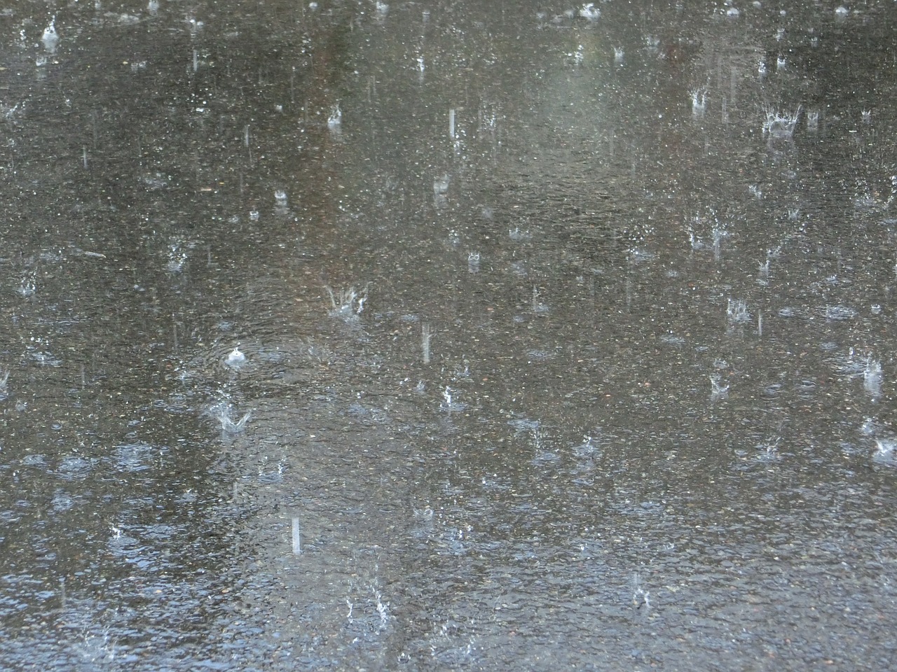 platschregen rainstorm rain free photo