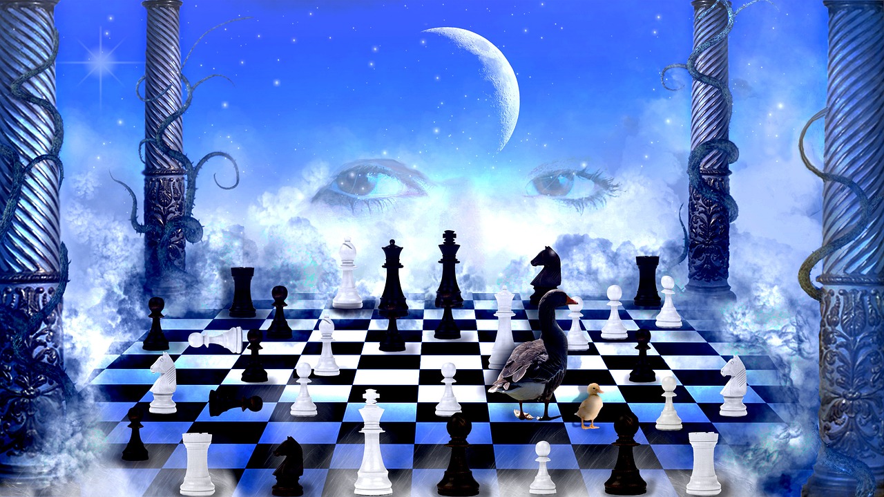 play chess chess board free photo
