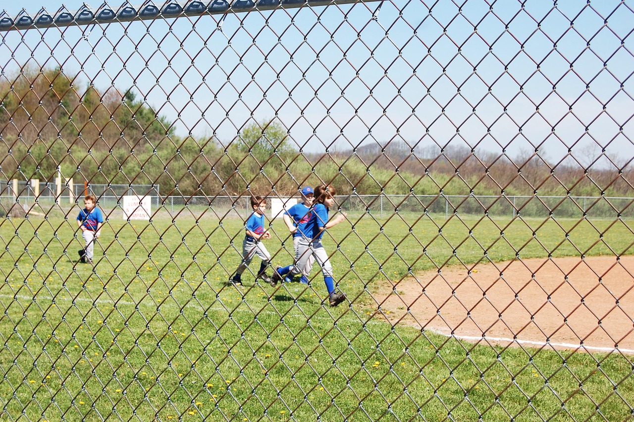 play ball fence free photo