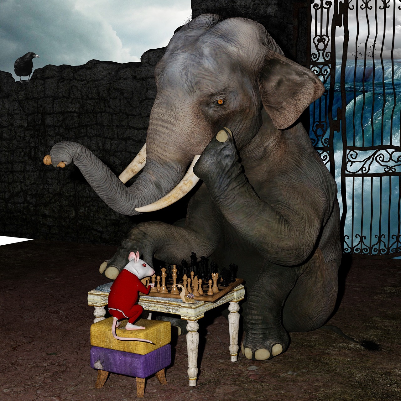 play chess elephant mouse free photo