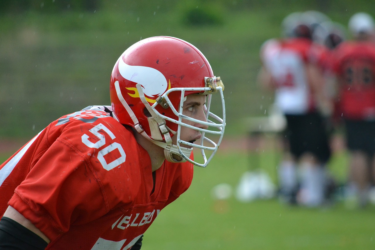 player detail american football free photo