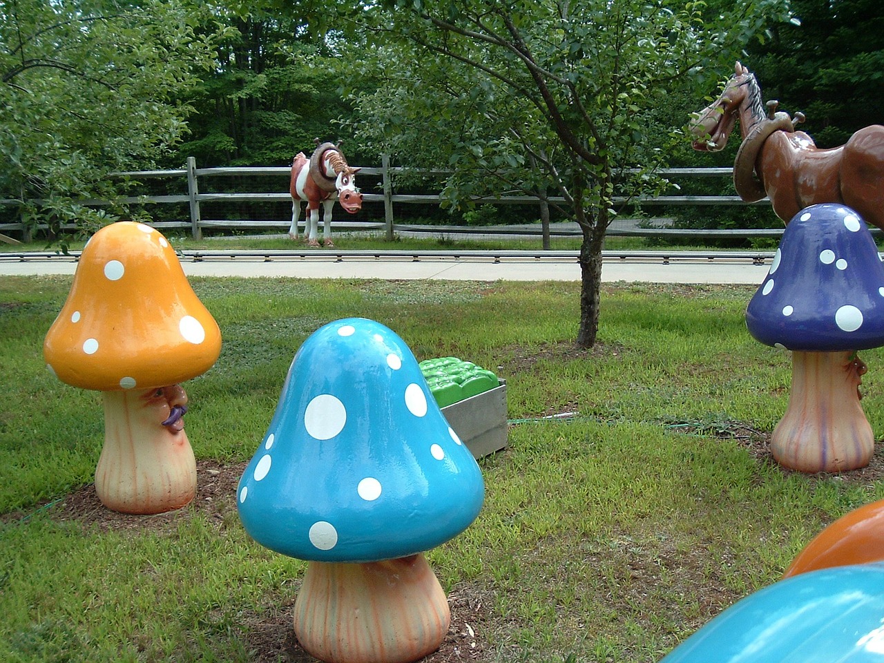 playful mushrooms fun free photo