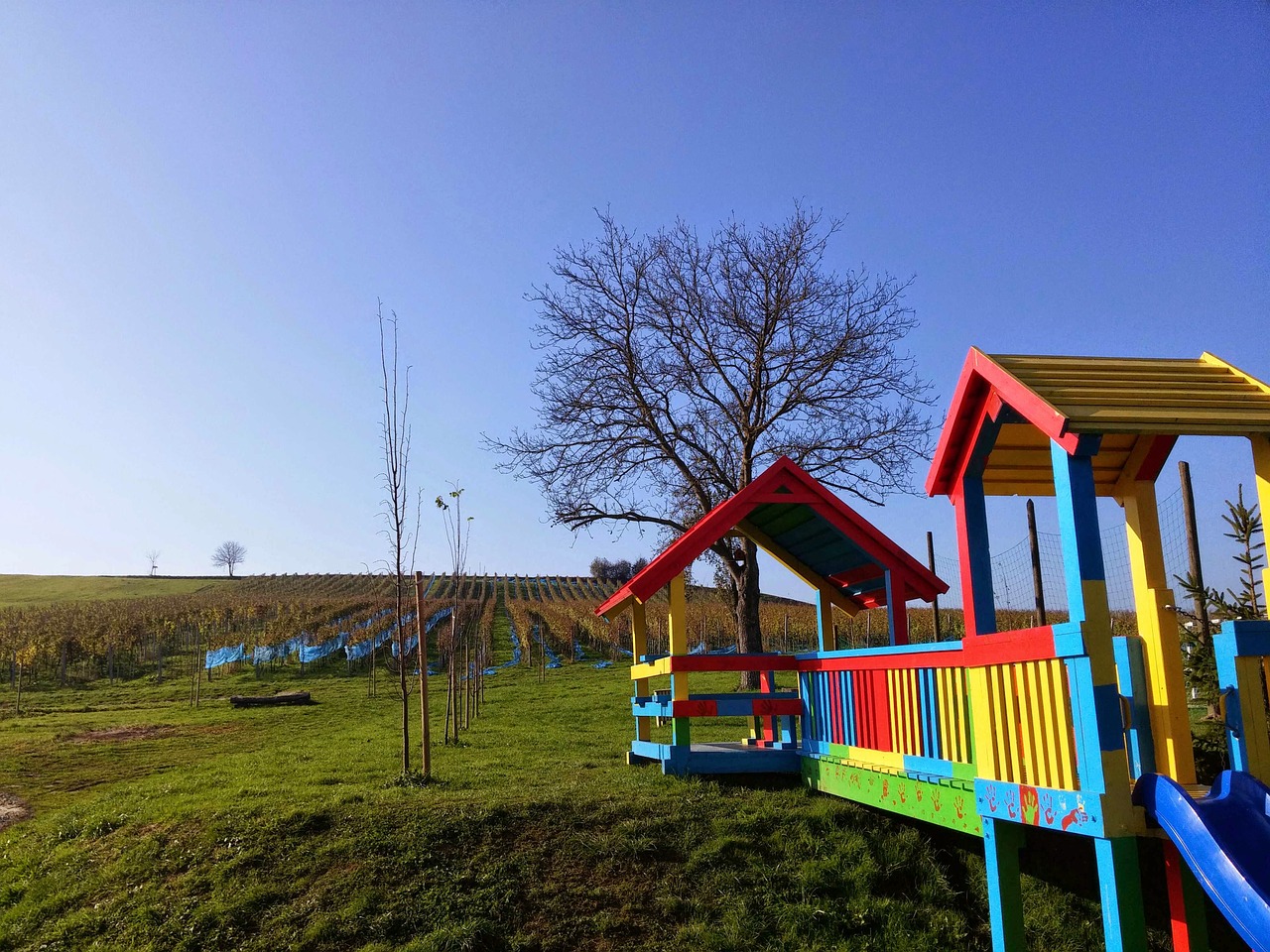 playground outdoor colorful free photo