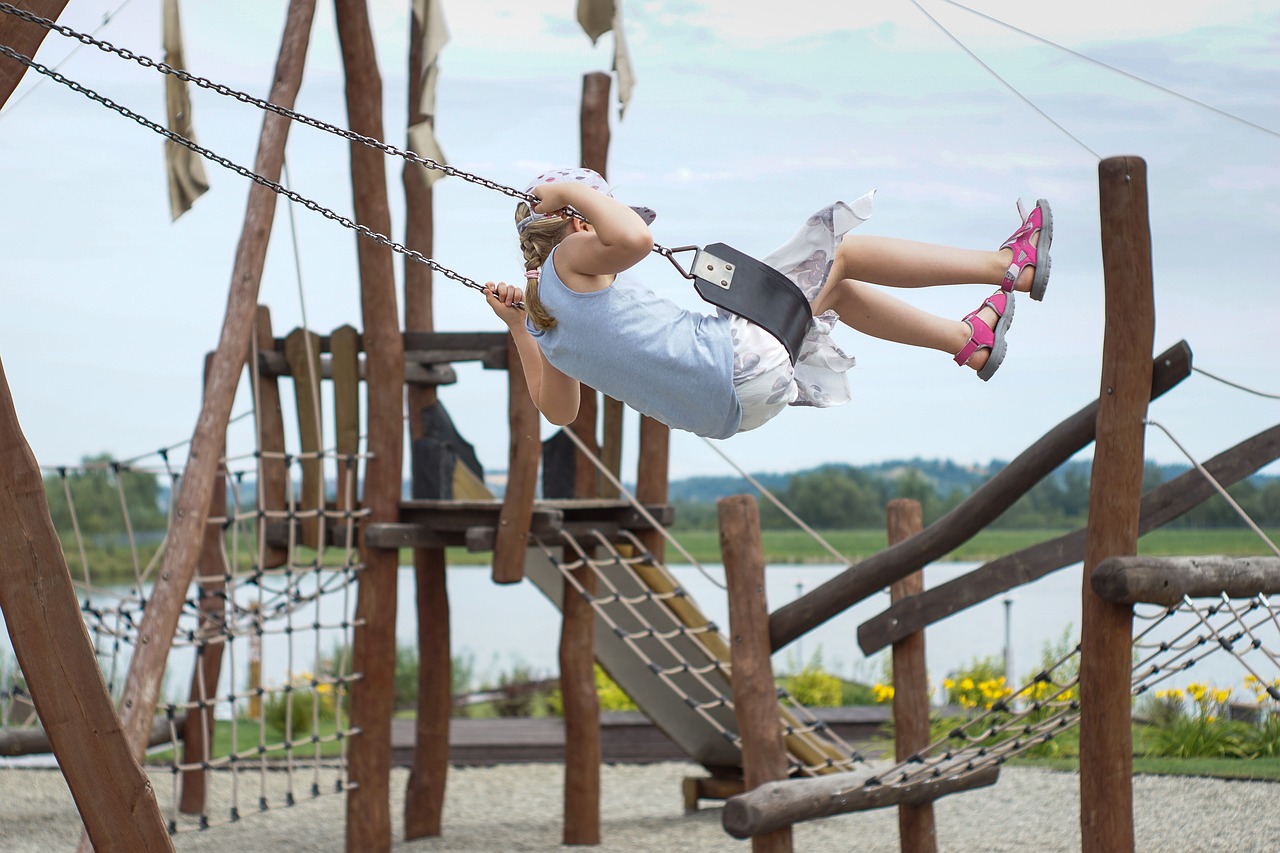 playground swing child free photo