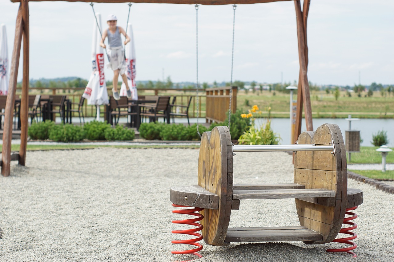 playground for children swing free photo