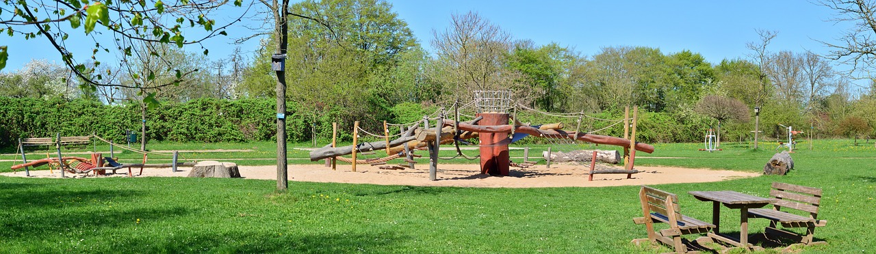 playground  tree  nature free photo